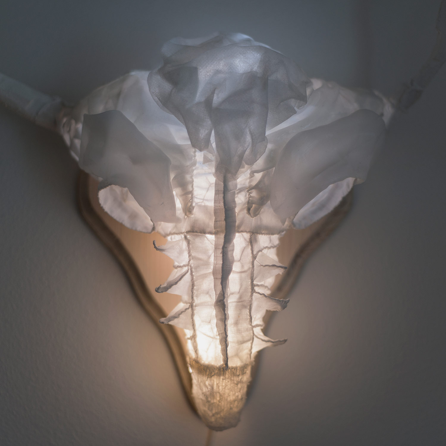 Jelínek — něžný svítící objekt od Eva Nečasové, Spacelights